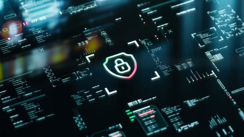 东丰县软件开发公司